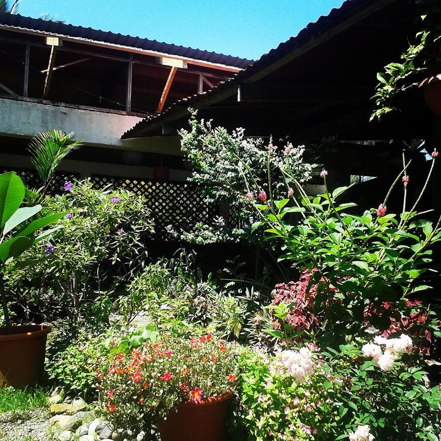 Hotel Puerto Viejo Puerto Viejo de Talamanca Buitenkant foto